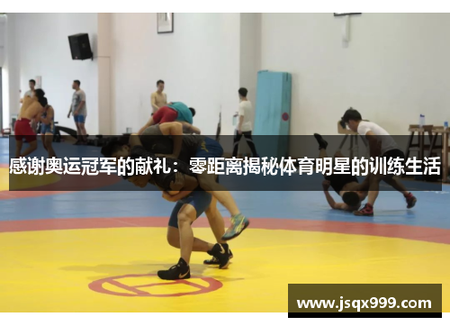 感谢奥运冠军的献礼：零距离揭秘体育明星的训练生活